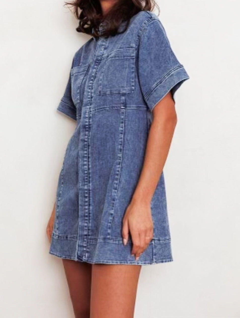 Kelly Denim Dress